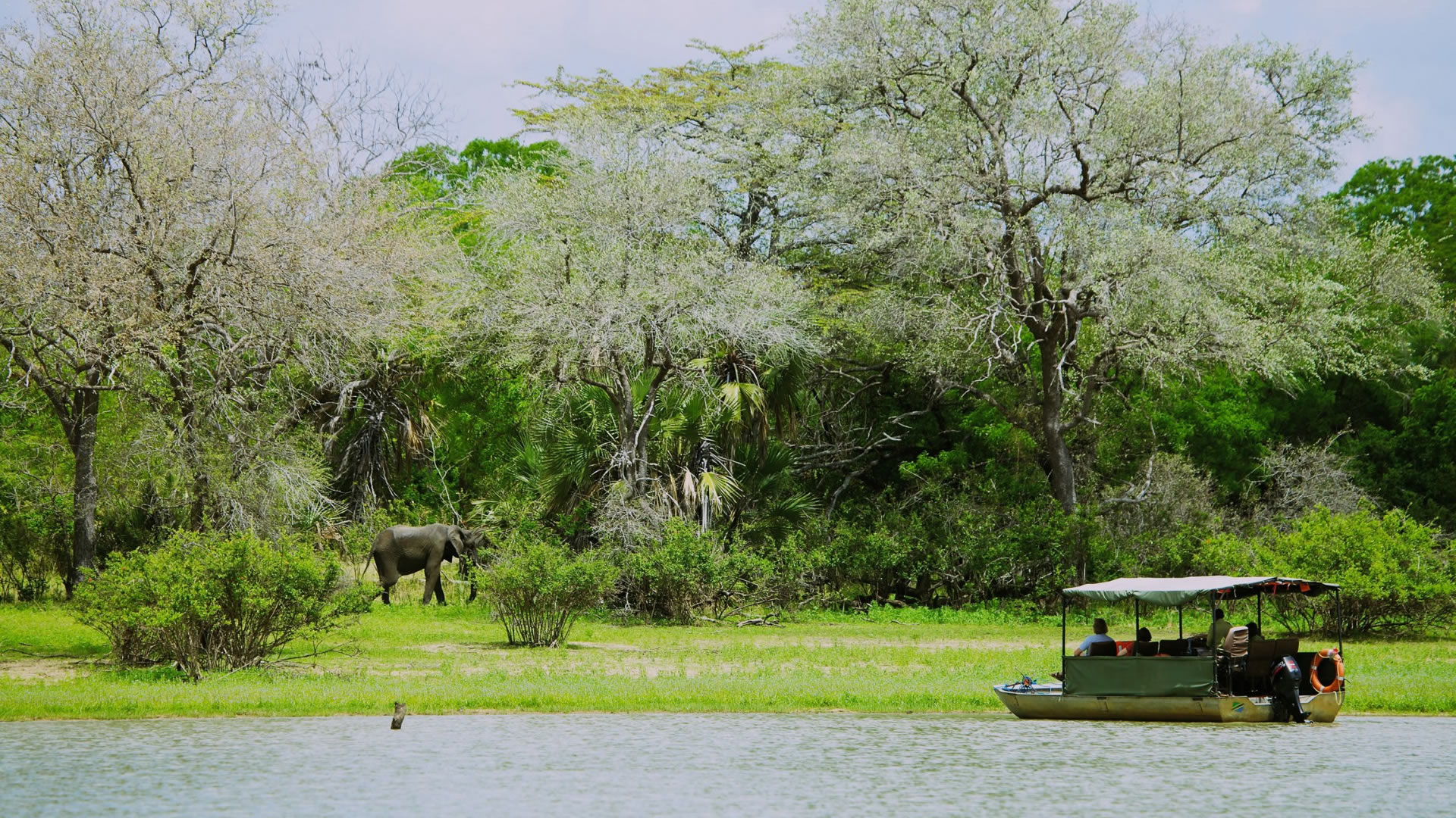 rufiji river camp