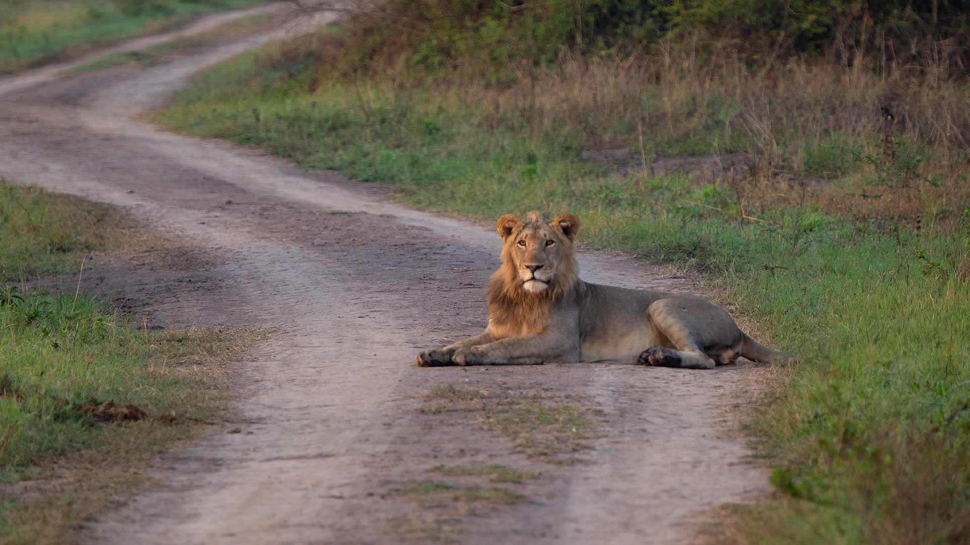 akagera national park