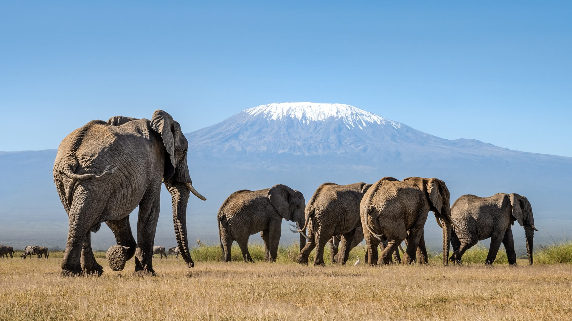 amboseli national park
