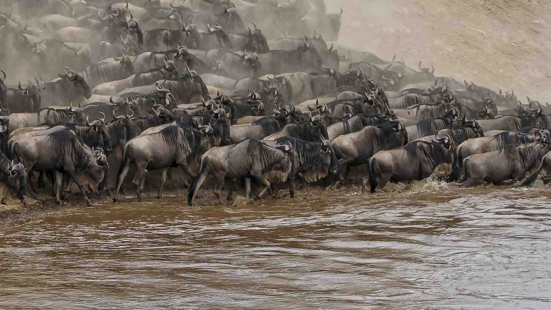 maasai mara game reserve