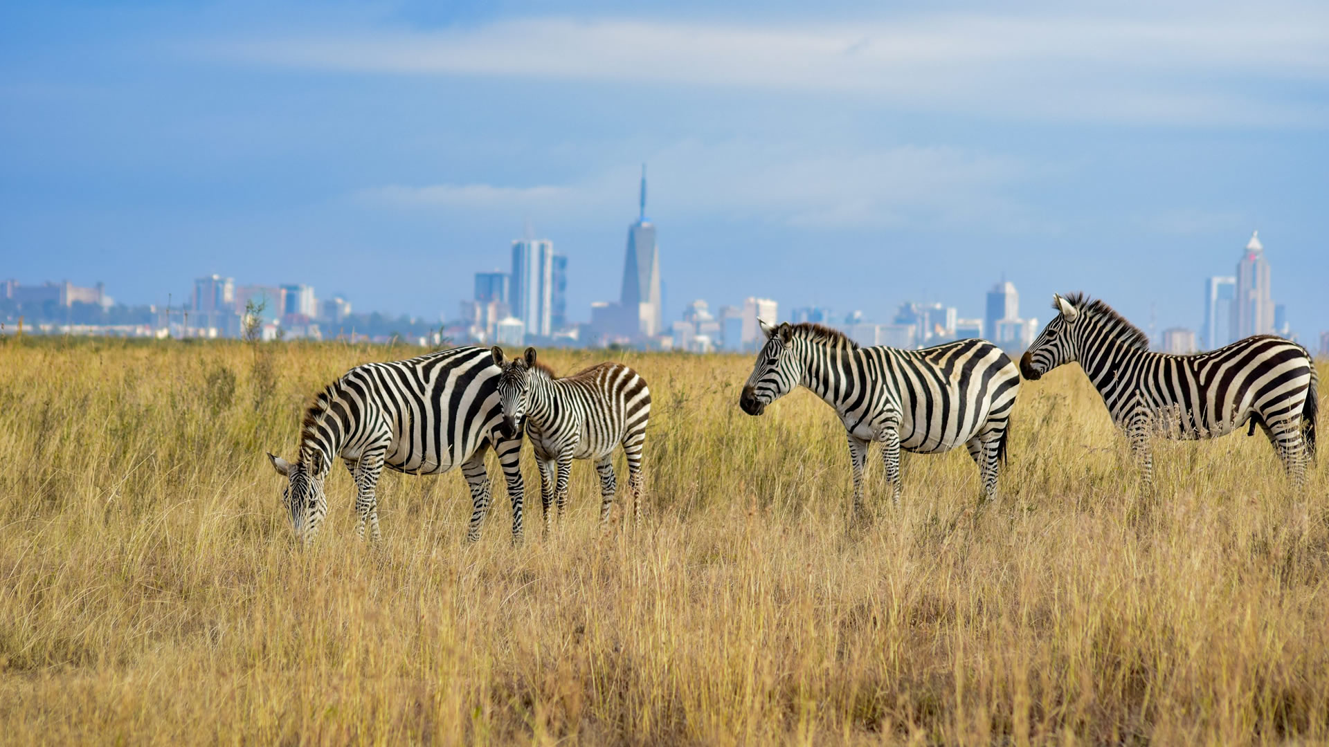 nairobi national park
