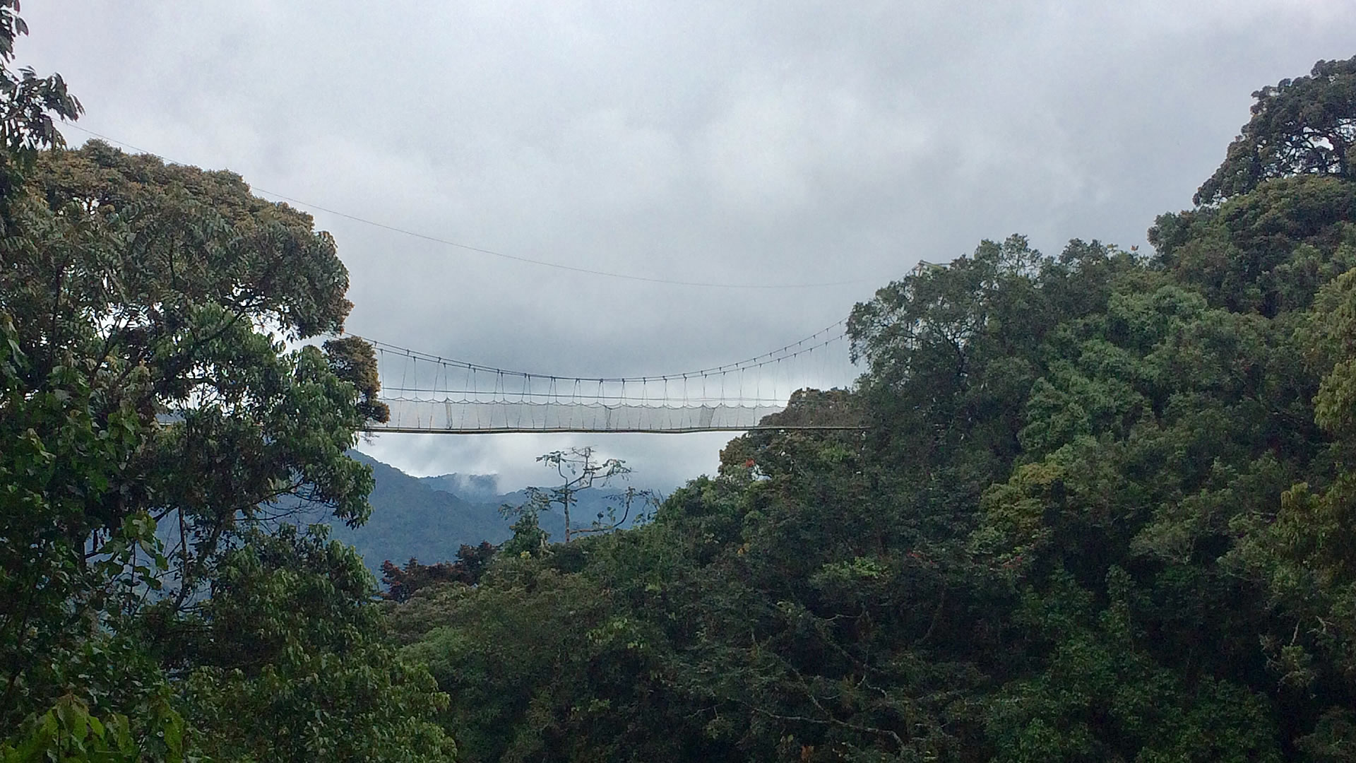 nyungwe forest national park
