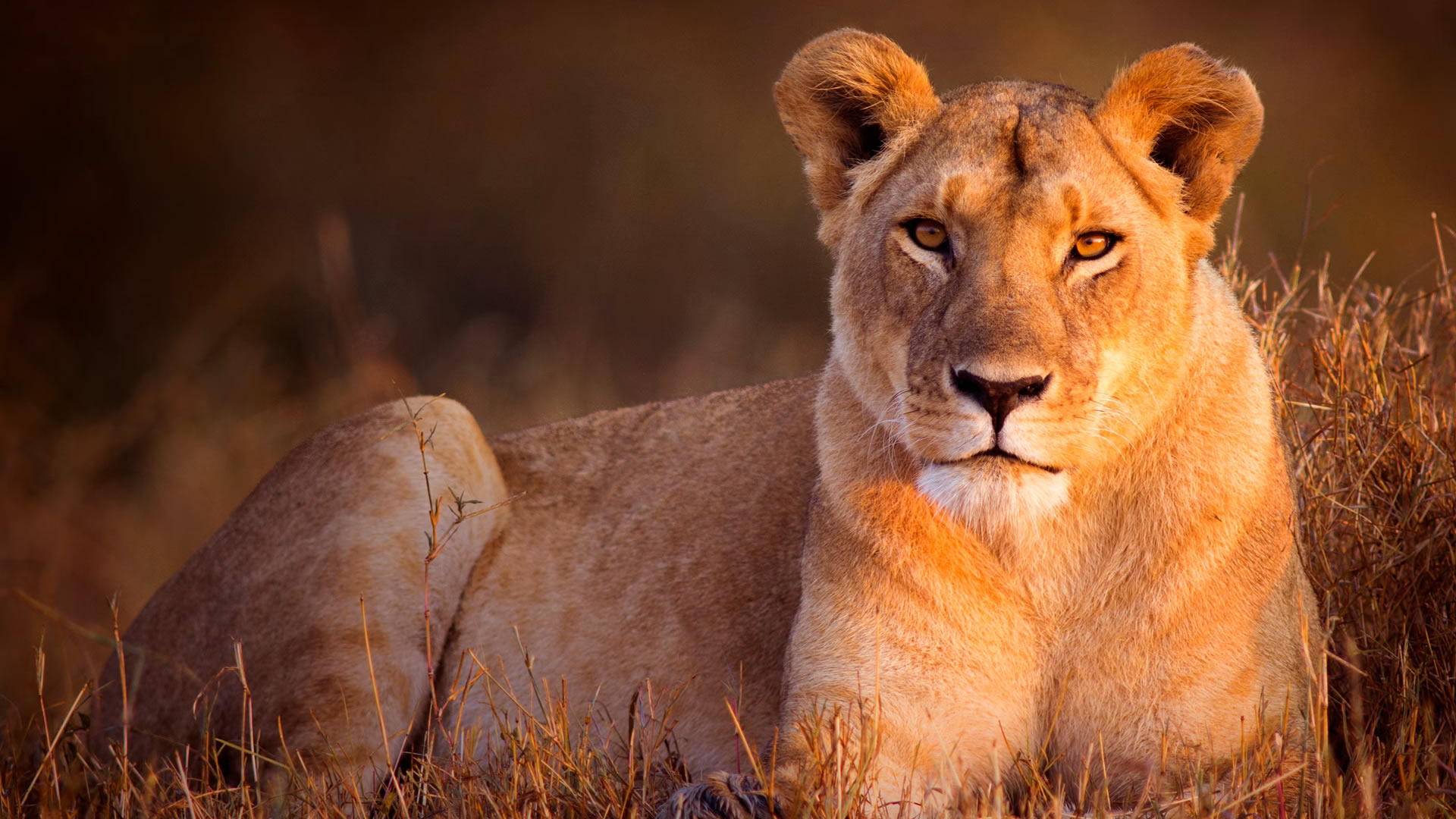 queen elizabeth national park