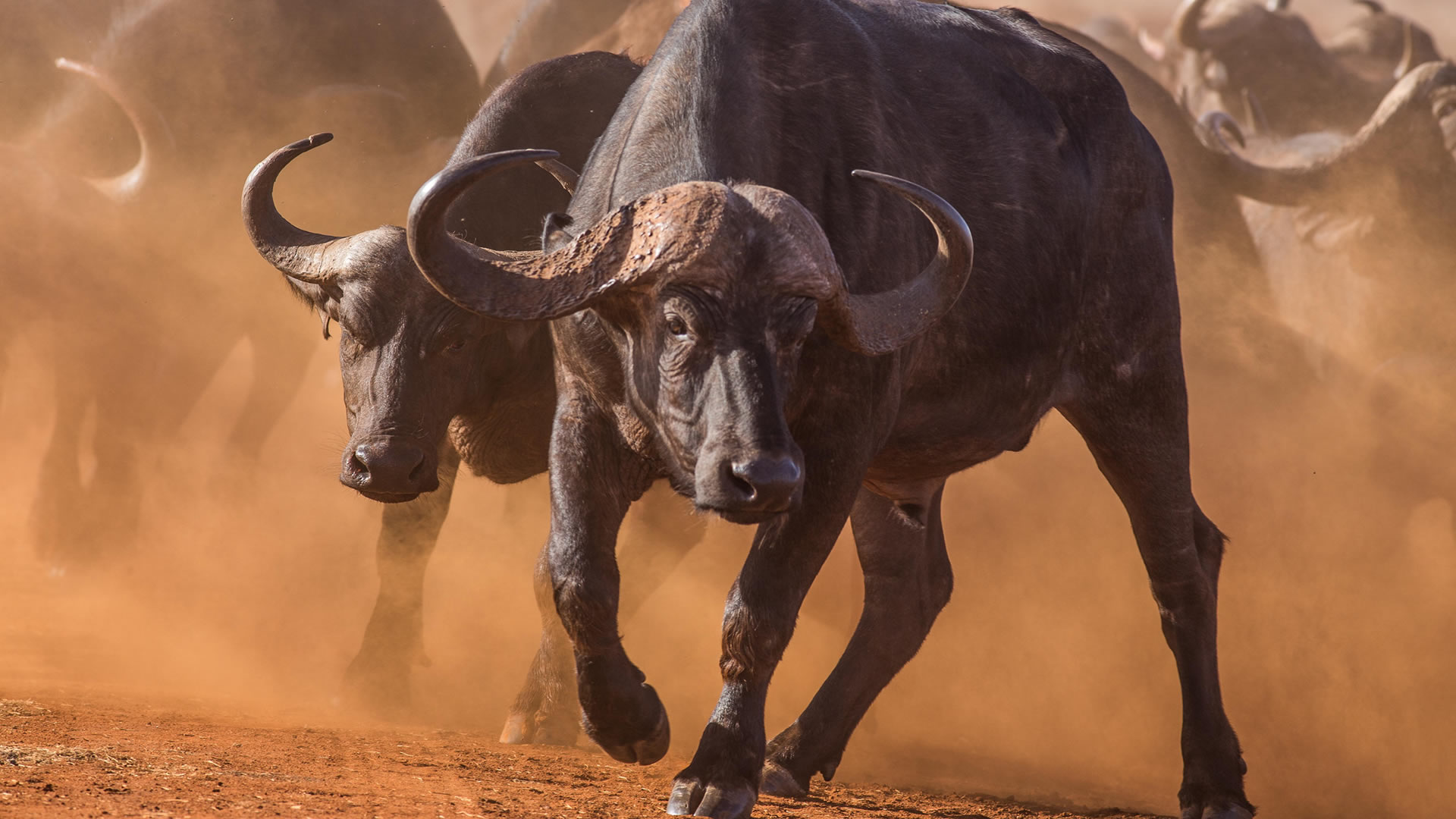 tsavo east national park