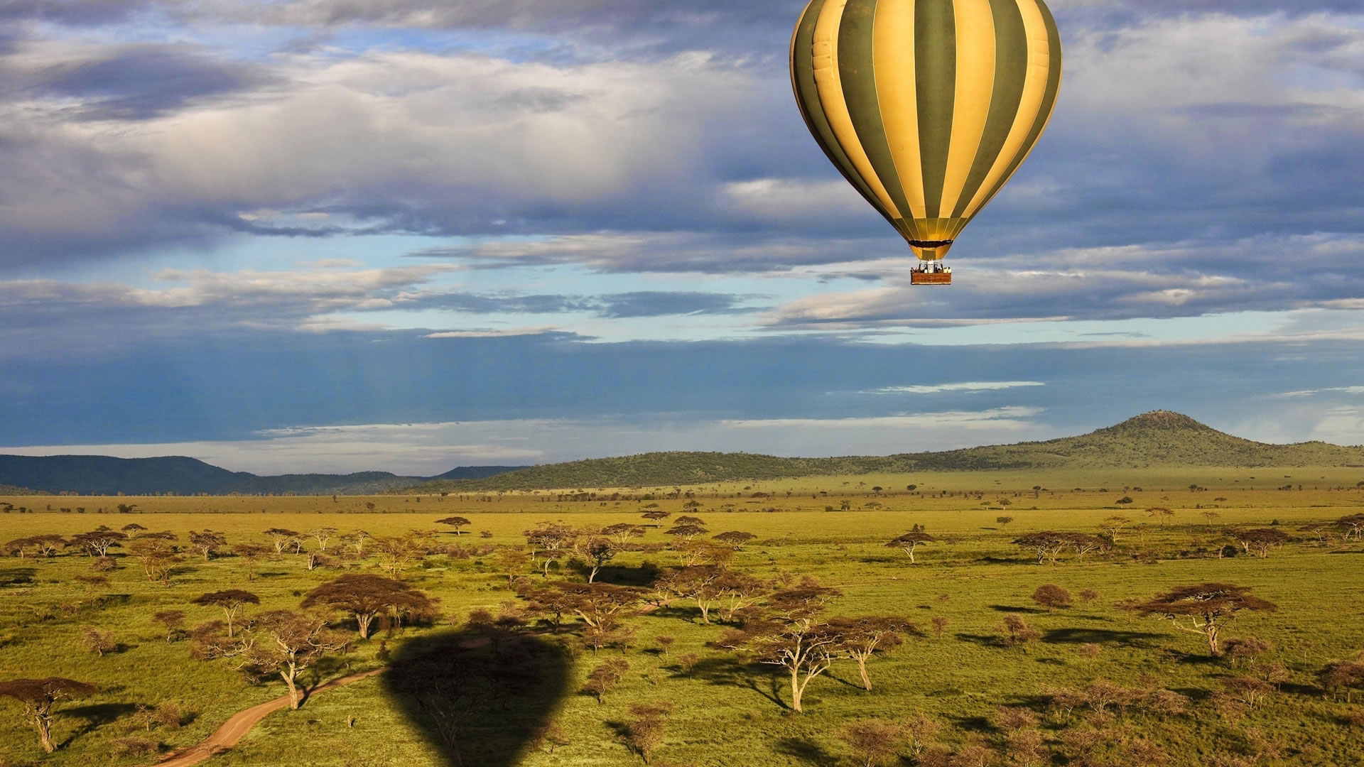 6 Days African Plains Safari